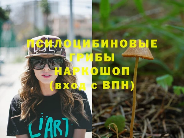 круглые Алзамай
